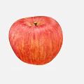 Modern Apple 3d model