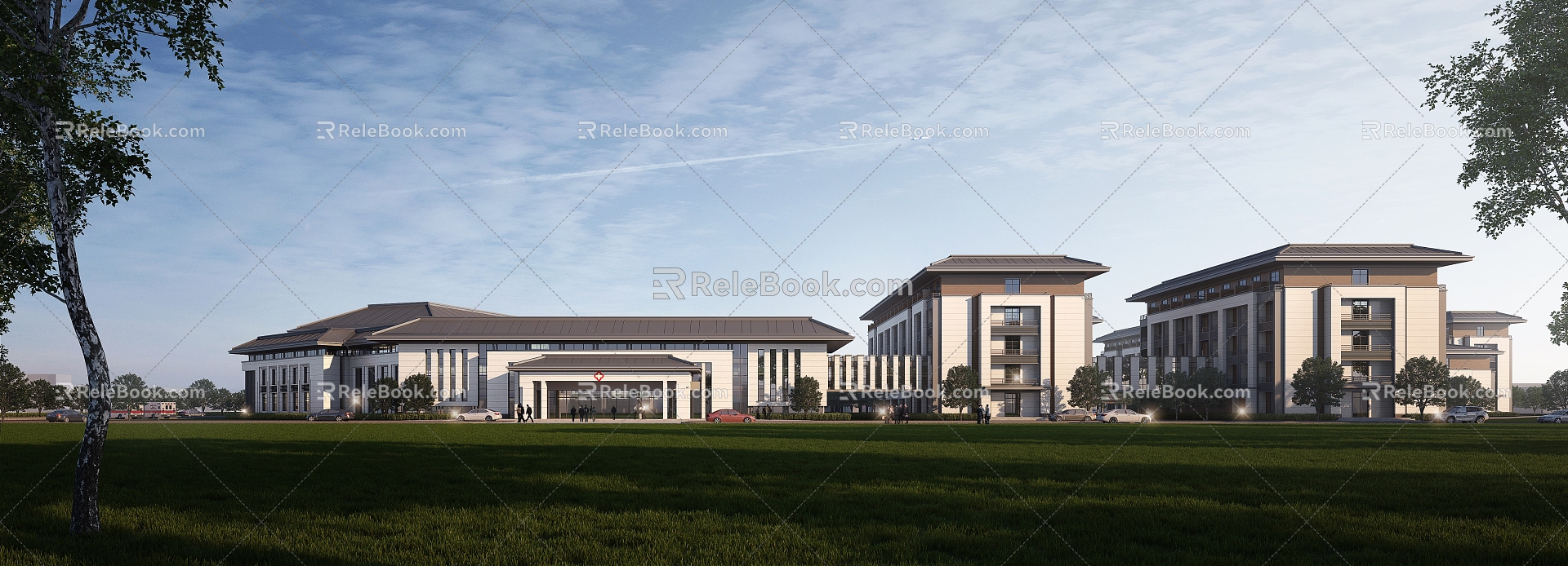 New Chinese Hospital Building Hospital 3d model