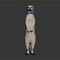 Meerkat Standing Upright Wearing Blue Bow Tie Light Brown And White Against Dark Background