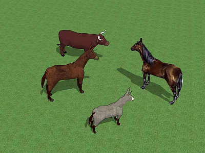 Reptile Lizard Basking On Rock In Arid Desert Natural Habitat 3d model