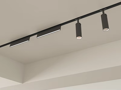 Modern Ceiling Track Downlights And Spotlights For Interior Lighting Design 3d model