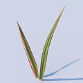 Two Green Leaves With Red Stripes On Light Blue Background Cast Shadow 3d model