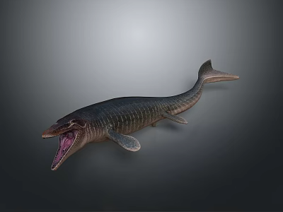 Prehistoric Marine Reptile 3D Model With Open Mouth And Streamlined Body Fins 3d model