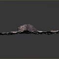Natural Undulating Sandy Terrain With Large Rock And Scattered Small Pebbles