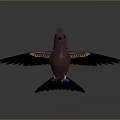 Crested Purple Bird with Yellow and Green Feathers Outstretched Wings on Reflective Surface