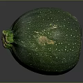 Fresh Green Round Zucchini Vegetable With Striped Skin And Healthy Food Option
