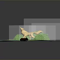 White Fox Standing In Green Grass Area With Small Bushes And Wooden Log