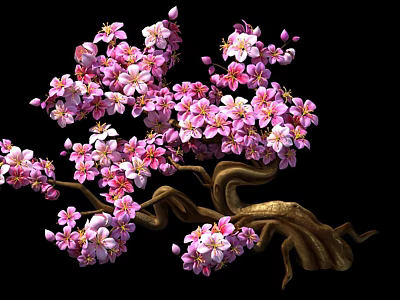 Fresh Pink White Edible Flowers For Decorating Sweet Desserts And Pastries 3d model