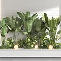 Green Leafy Potted Plants Arrangement In Long Container With Decorative Stones And Warm Lights
