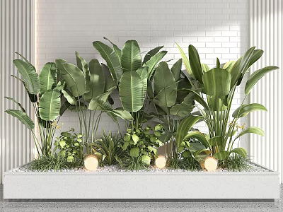 Green Leafy Potted Plants Arrangement In Long Container With Decorative Stones And Warm Lights 3d model