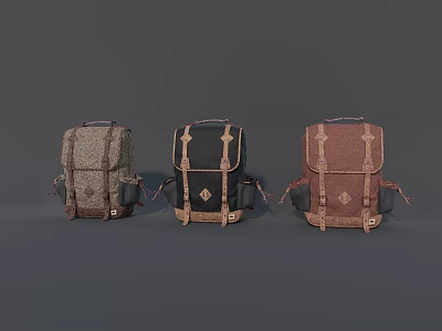 Three Classic Backpacks In Gray Black And Brown Stylish Design 3d model
