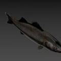 Game Movie Character Silver Fish With Realistic Design And Large Eyes