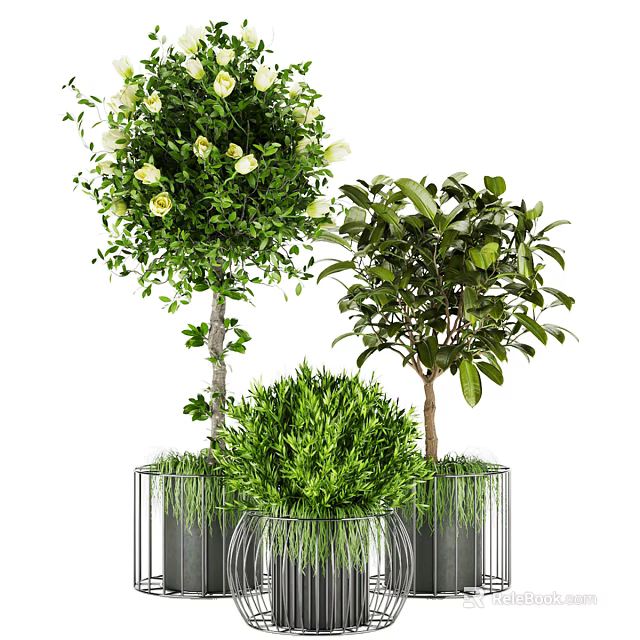 Various Bonsai Potted Plants with Flowering Blooms and Green Foliage in Metal Planters 3d model 