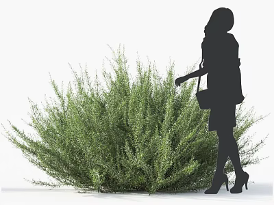 Lush Green Bush With Silhouette Of A Woman In Skirt And High Heels 3d model