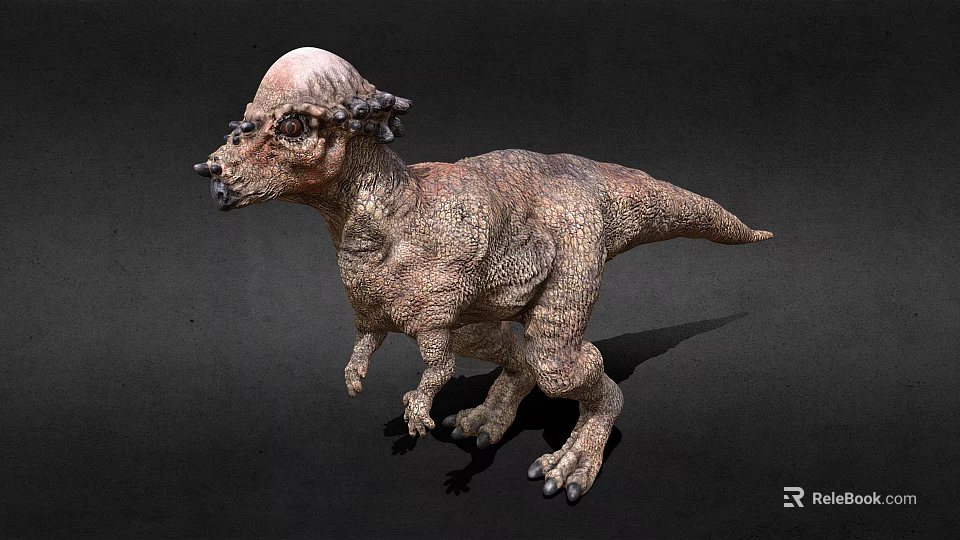 Realistic Dinosaur 3D Model With Unique Head And Detailed Skin Texture 3d model