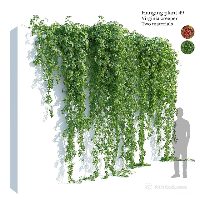 Lush Green Hanging Vines Covering White Indoor Wall with Silhouette 3d model 