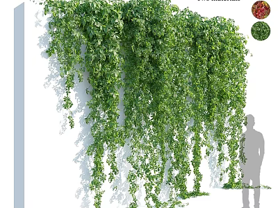 Lush Green Hanging Vines Covering White Indoor Wall with Silhouette 3d model