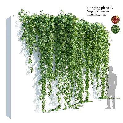 Lush Green Hanging Vines Covering White Indoor Wall with Silhouette 3d model
