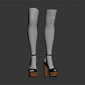 Cat Wearing White Stockings And Black High Heels With Orange Heels