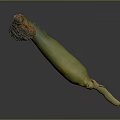Fresh Yellow and Green Corn Cob With Green Husk and Golden Silk Isolated on Dark Background