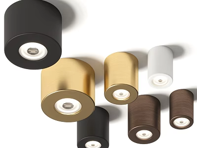 Modern Downlights and Spotlights in Various Colors for Home Interior Lighting 3d model