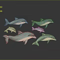 Five Turquoise And White Dolphins Against Gray Background With Reflections