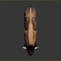 Majestic Brown and Orange Buffalo with Thick Fur and Curved Horns Standing Isolated on Gray Background