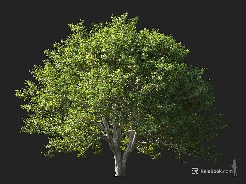 Lush Green Arbor With Dense Foliage And Strong Trunk In Natural Scene 3d model 