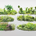Tree Pit Landscaping With Diverse Green Plants And Lush Foliage Design