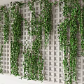Lush Green Trailing Vines Adorning White Lattice Wall for Indoor Decoration