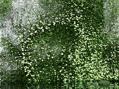 Vertical Living Plant Wall With Lush Green Foliage And Decorative Home Garden Design 3d model