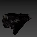 Detailed Animal Skull With Natural Bone Structure Isolated On Black Background