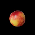Fresh Ripe Peach With Red And Yellow Skin On Black Background