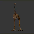 Brown Dinosaur Skeleton Model Display With Long Neck And Gray Gradient Background 3d model