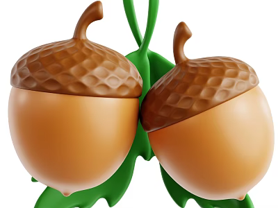 Two Orange Fruits With Brown Textured Shells And Green Leaves Hanging Together 3d model
