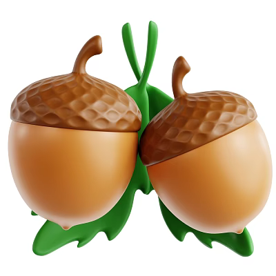 Two Orange Fruits With Brown Textured Shells And Green Leaves Hanging Together 3d model