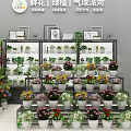 Bright Flower Shop With Colorful Bouquets Fresh Flowers Green Plants And Shelves