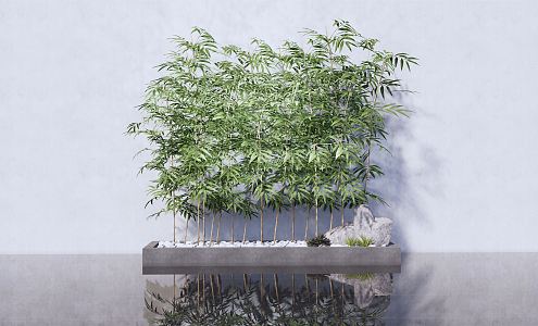 New Chinese Bamboo 3d model