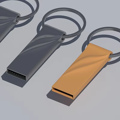 Golden And Gray USB Flash Drives With Key Ring And Sleek Design 3d model