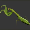 Modern mantis knife-winged insect 3d model