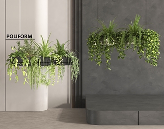 Hanging Basket Green Plant Pot Hanging Basket Combination Flower Plant Hanging Plant Hanging Pot Hanging Pot 3d model