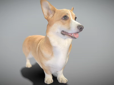 Brown And White Reptile 3D Model Standing On Gray Background Surface 3d model