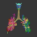 Human Lung Organ Anatomical 3D Model with Bronchial Tree and Pulmonary Tissues