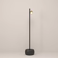 Modern Floor Lamp with Black Stand Round Base and Golden Lamp Head