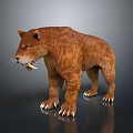 3D Rendered Sabertooth Tiger With Brown Fur Standing Pose On Gray Background