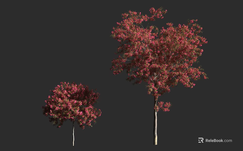 Vibrant Pink Flowering Arbor Trees In Two Sizes With Lush Blossoms 3d model 