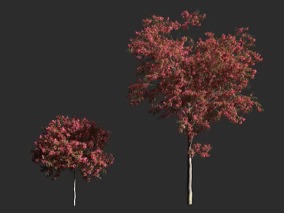 Vibrant Pink Flowering Arbor Trees In Two Sizes With Lush Blossoms 3d model