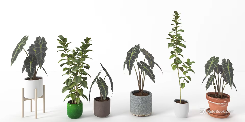 Bonsai Potted Plants with Green Brown Grey White Ceramic Pots and Various Leaf Shapes 3d model 