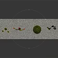 Various Cactus And Succulent Plants Display On Sandy Surface With Decorative Arrangement
