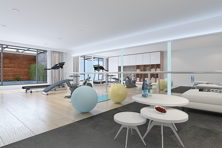 Modern Gym Home Gym 3d model